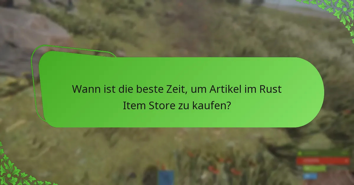 Welche Werbeaktionen finden im Rust Item Store statt?