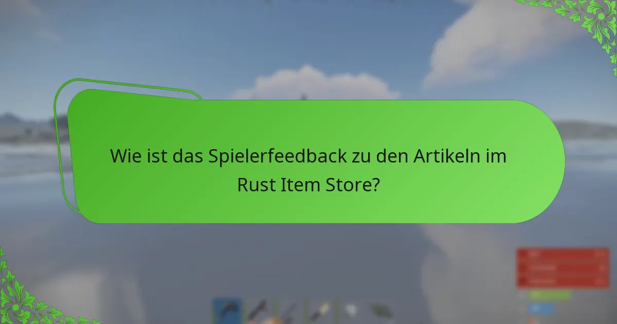 Wie schneidet der Rust Item Store im Vergleich zu anderen Spielartikel-Stores ab?